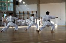 saggio-karate-053.jpg