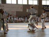 saggio-karate-102.jpg
